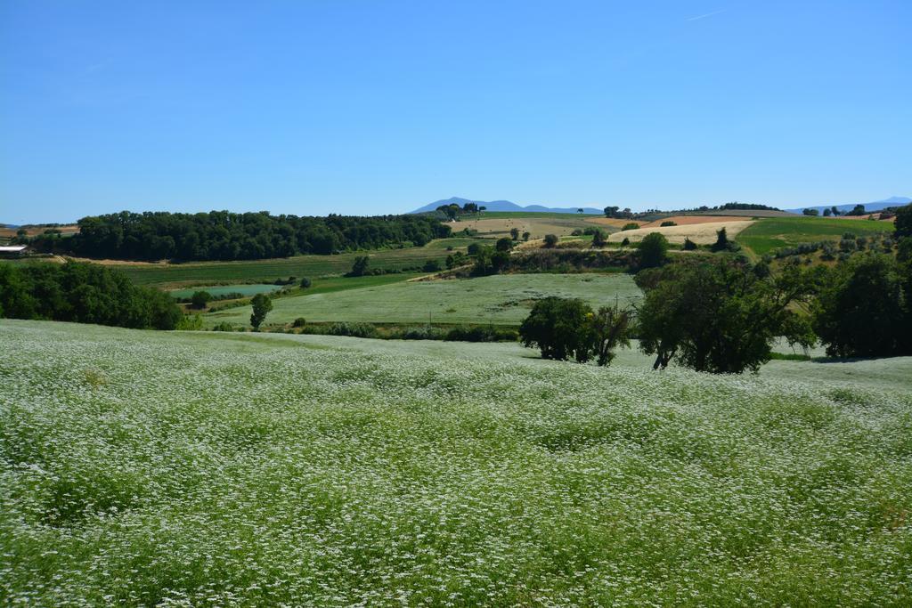 Agriturismo Dolce Verde カスティリオーネ・デル・ラーゴ エクステリア 写真