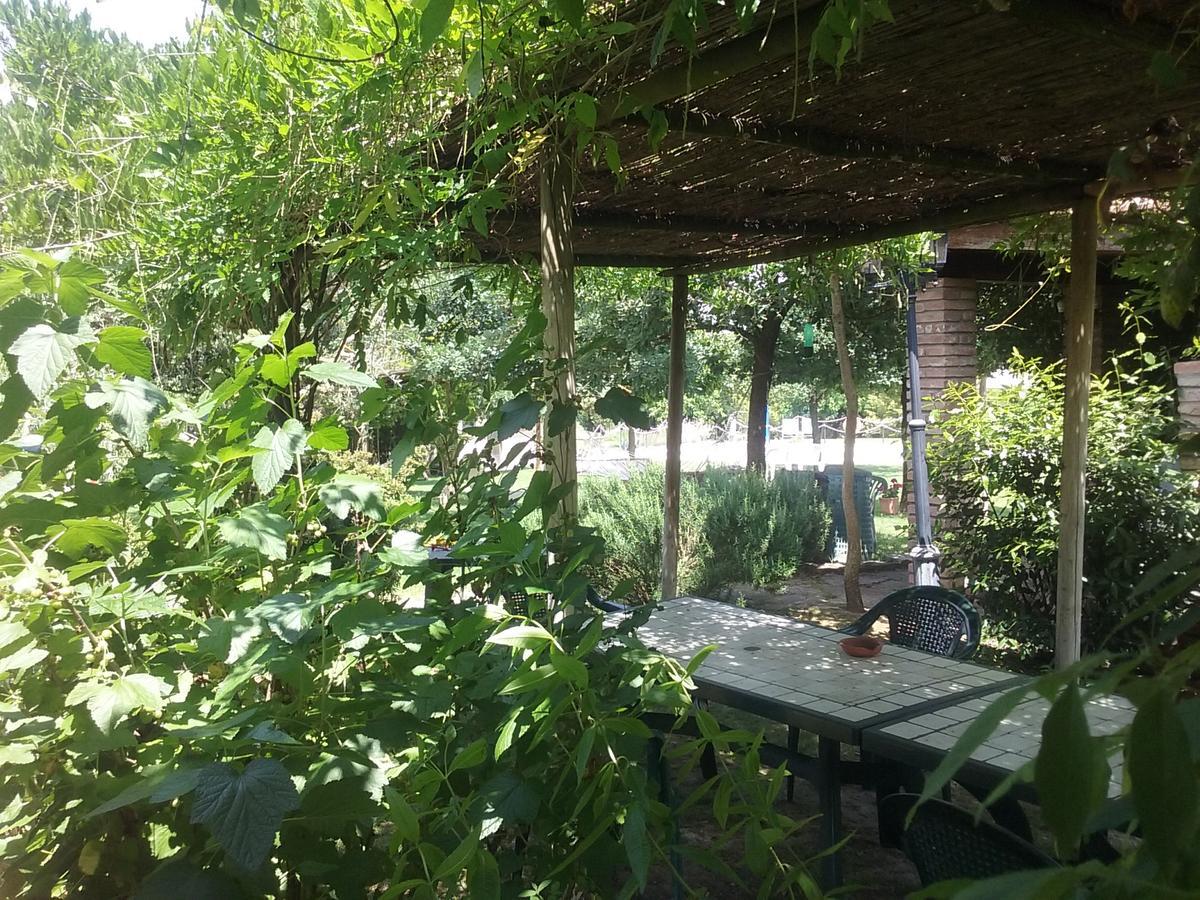 Agriturismo Dolce Verde カスティリオーネ・デル・ラーゴ エクステリア 写真